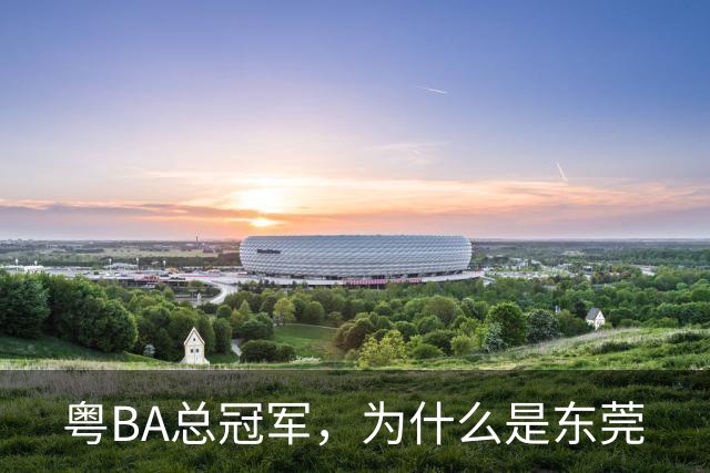 粤BA总冠军，为什么是东莞?
