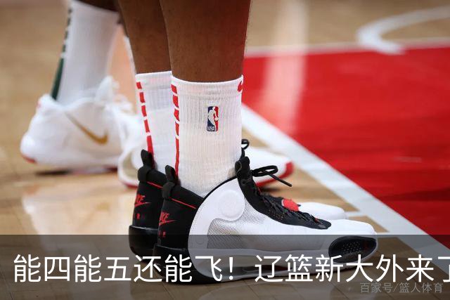 能四能五还能飞！辽篮新大外来了，比莫兰德更适配，乌戈捡到宝了