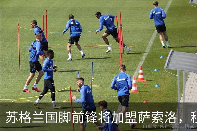 苏格兰国脚前锋将加盟萨索洛，租借加1000万欧元买断